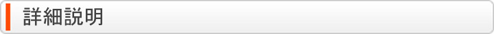 詳細説明